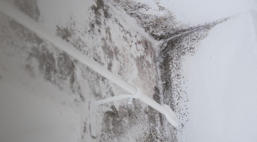 Why choose water damage restoration service for storm damage restoration in New York